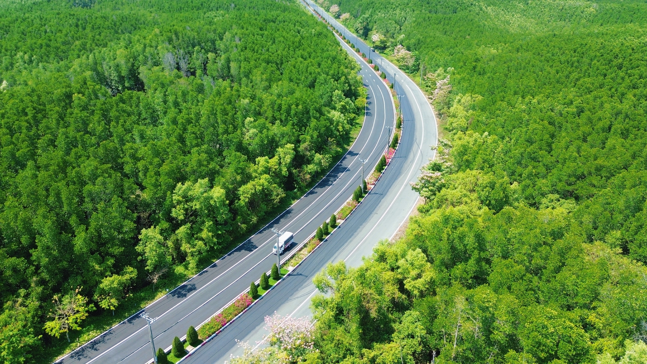 Một tuyến đường đang "đốn tim" giới trẻ TPHCM - Ảnh 2.