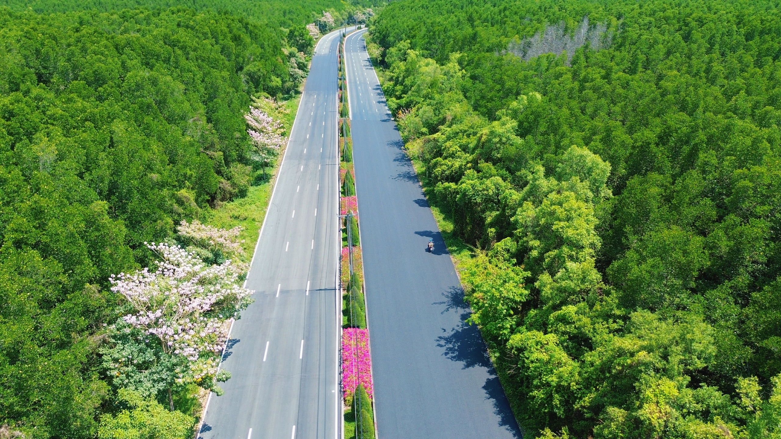 Một tuyến đường đang "đốn tim" giới trẻ TPHCM - Ảnh 1.