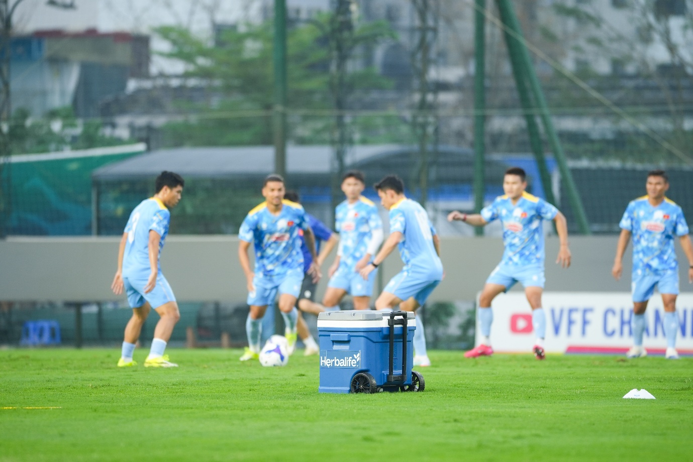 Khi nội lực gặp gỡ điểm tựa dinh dưỡng - Ảnh 2.