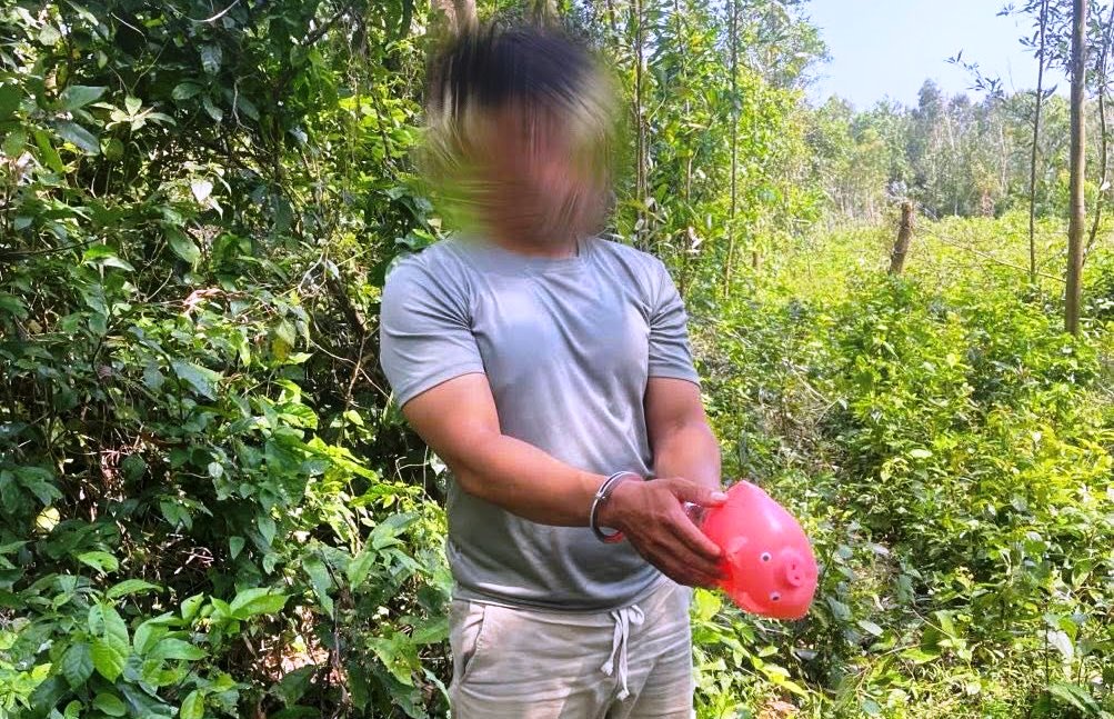 20 ngày gây ra 7 vụ trộm, đối tượng bị sa lưới - Ảnh 1.