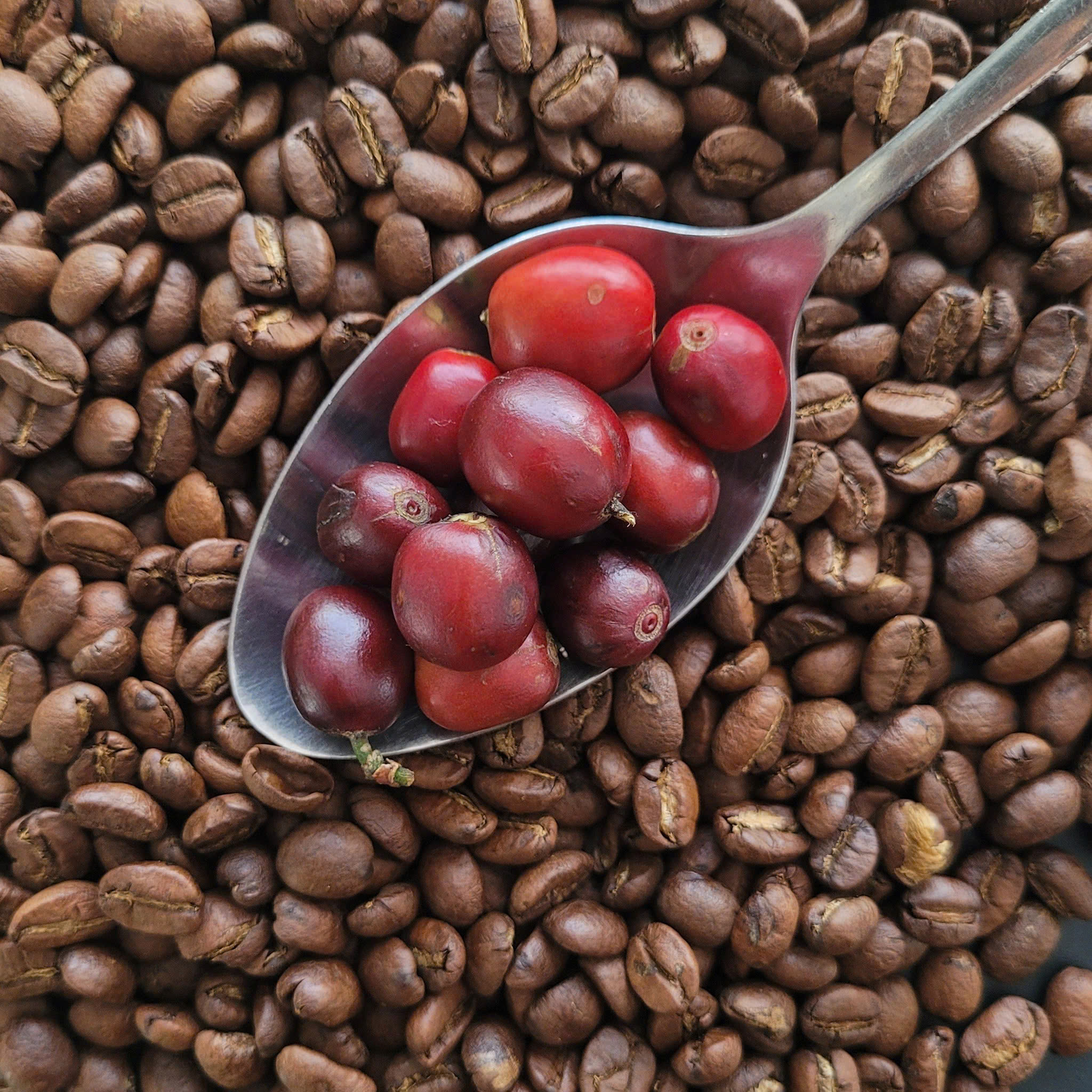 Phong vị cà phê Việt - Ảnh 1.