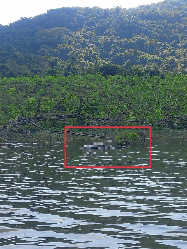 Gia Lai: Điều tra vụ người đ&agrave;n &ocirc;ng chết chưa r&otilde; nguy&ecirc;n nh&acirc;n tr&ecirc;n hồ Đ&aacute; Trải - Ảnh 1.