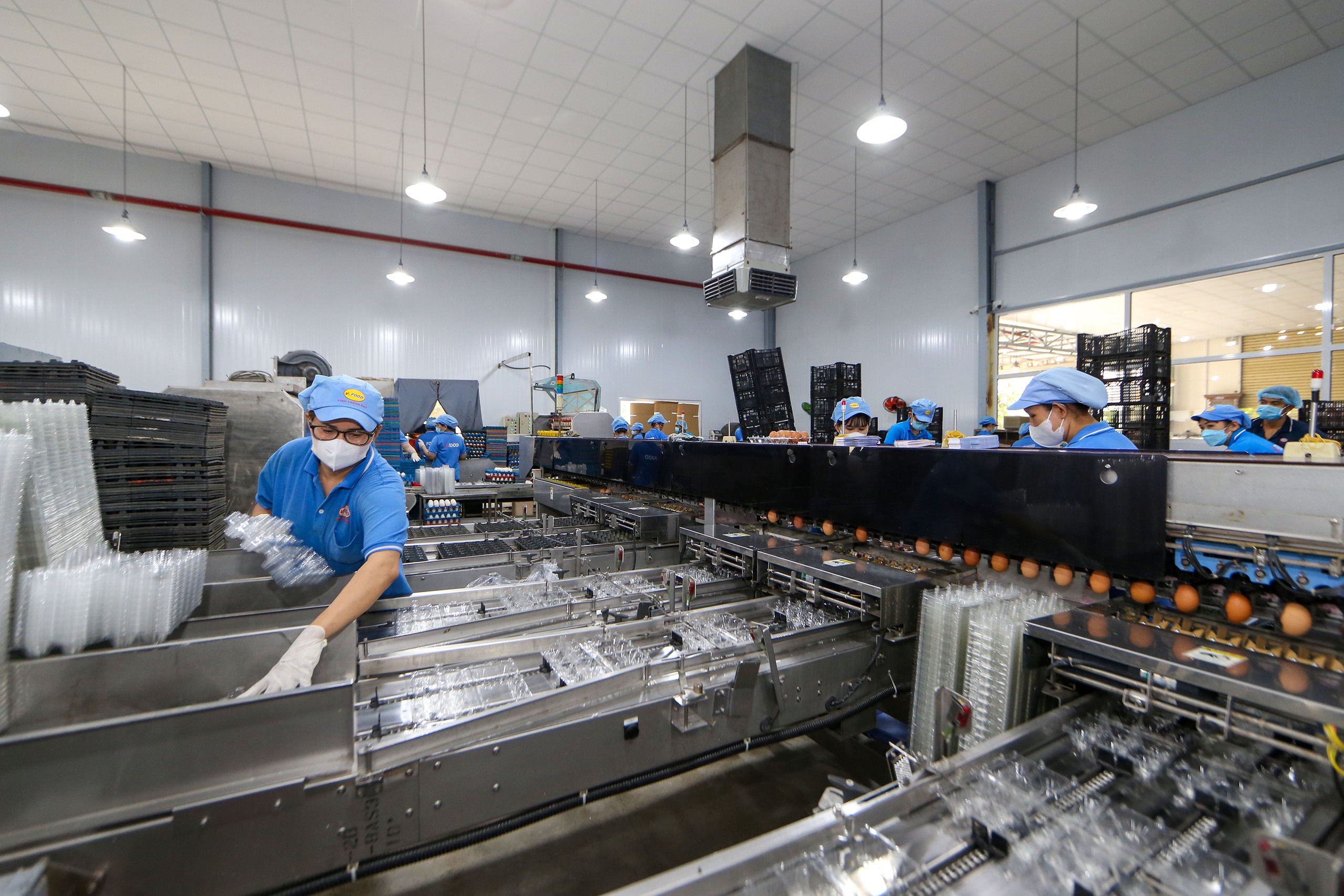 Doanh nghiệp ứng phó sức ép chi phí 2026: Giải pháp tái cấu trúc hiệu quả - Ảnh 4. Doanh nghiệp ứng phó sức ép chi phí 2026: Giải pháp tái cấu trúc hiệu quả - Ảnh 4.