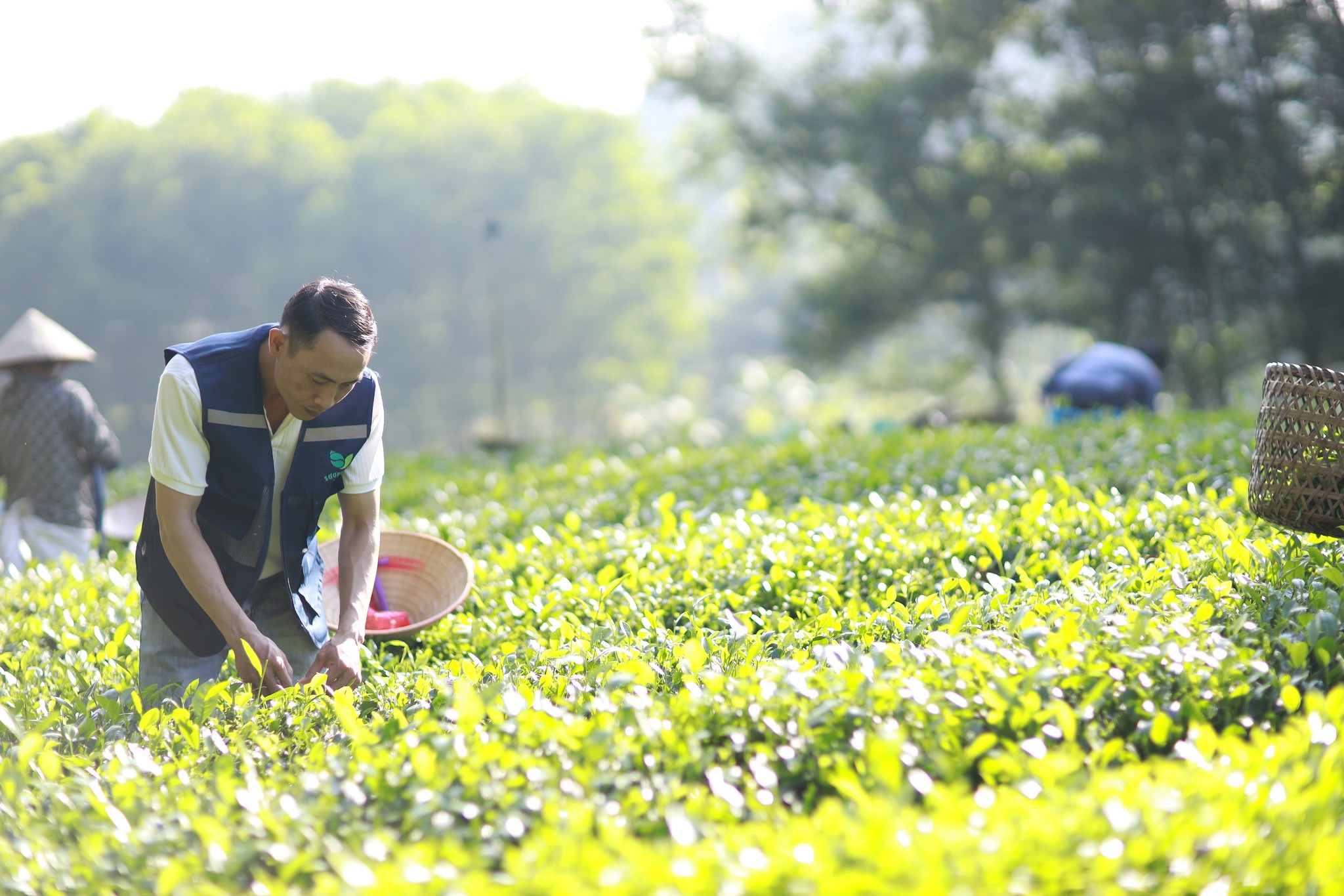 Về x&oacute;m tr&agrave; Sương Mai sống chậm - Ảnh 10.