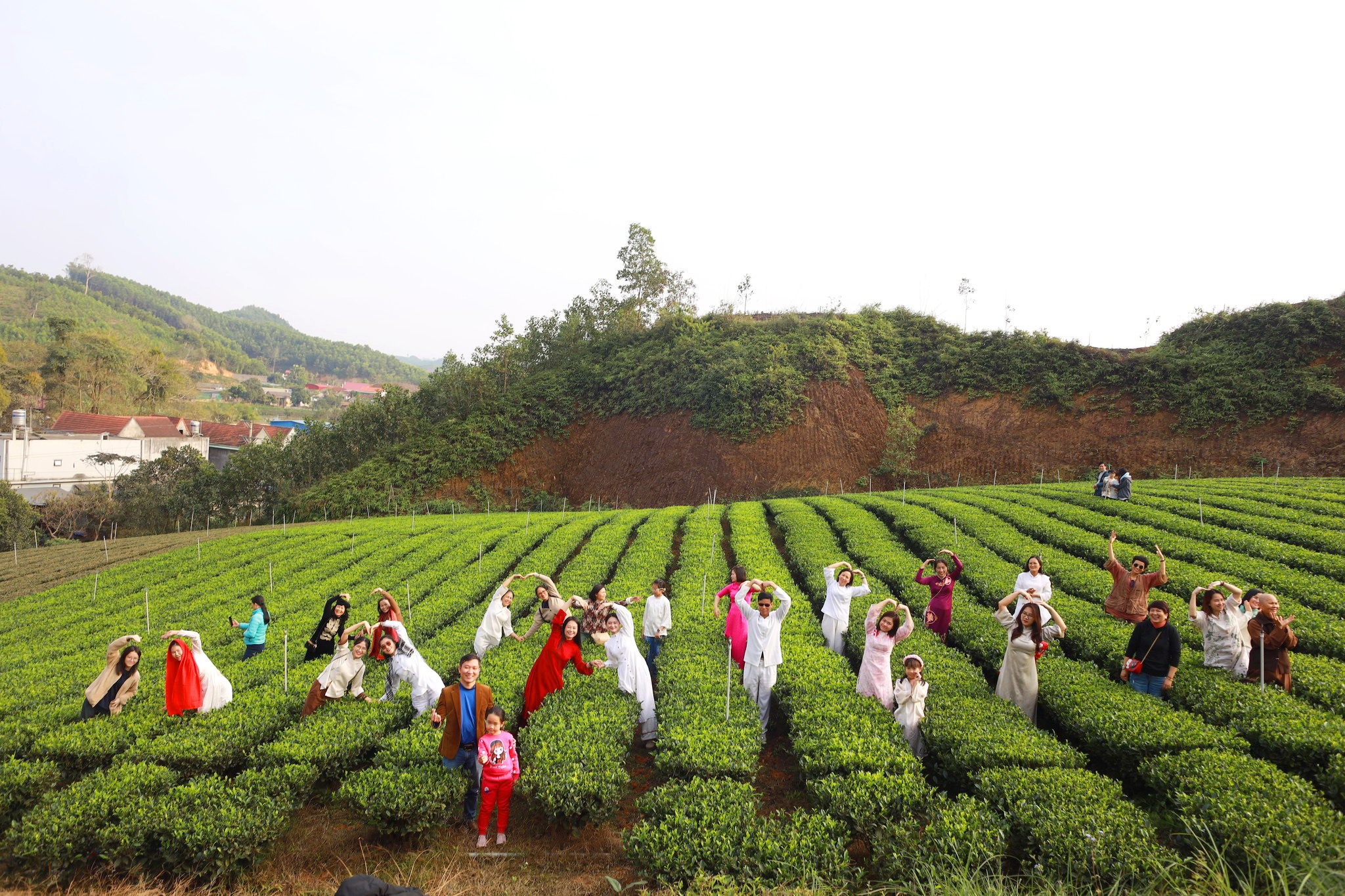 Về x&oacute;m tr&agrave; Sương Mai sống chậm - Ảnh 1.
