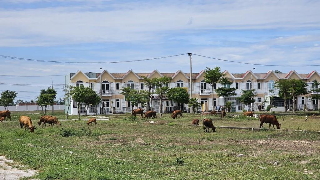 Đà Nẵng điều chỉnh đầu tư Khu đô thị Viêm Minh - Hà Dừa Đến năm 2027 - Ảnh 1. Đà Nẵng điều chỉnh đầu tư Khu đô thị Viêm Minh - Hà Dừa Đến năm 2027 - Ảnh 1.