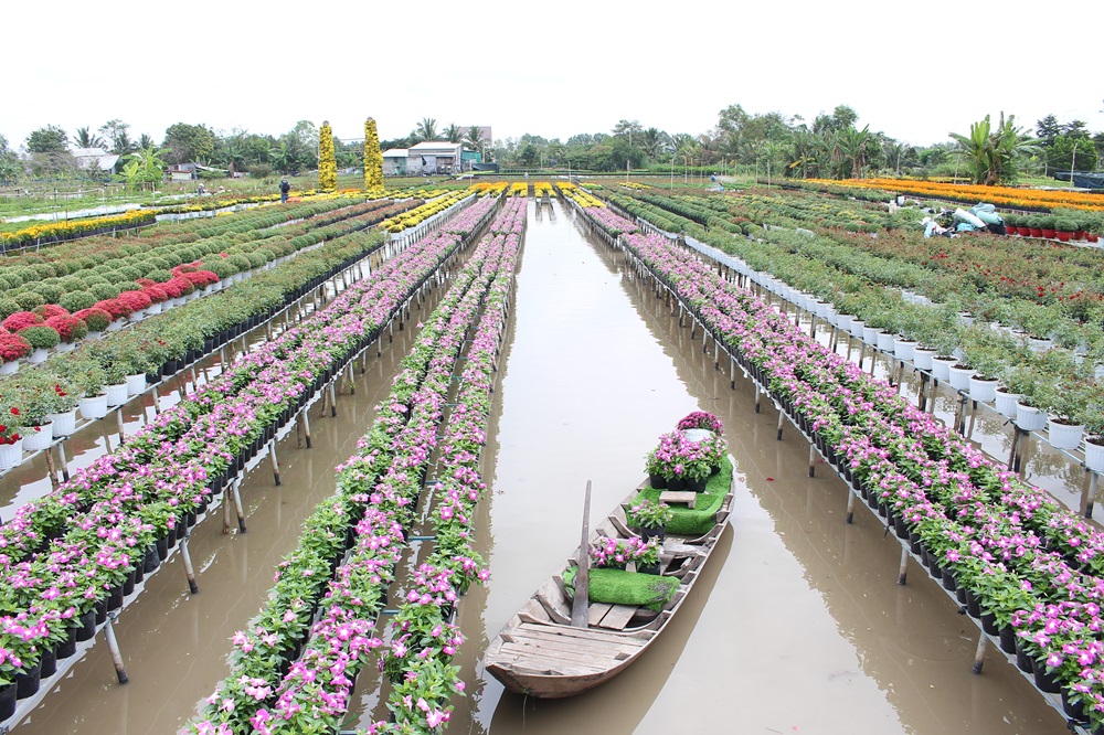 Ngành du lịch Đồng Tháp tăng trưởng ngoạn mục trong năm 2026 - Ảnh 2.