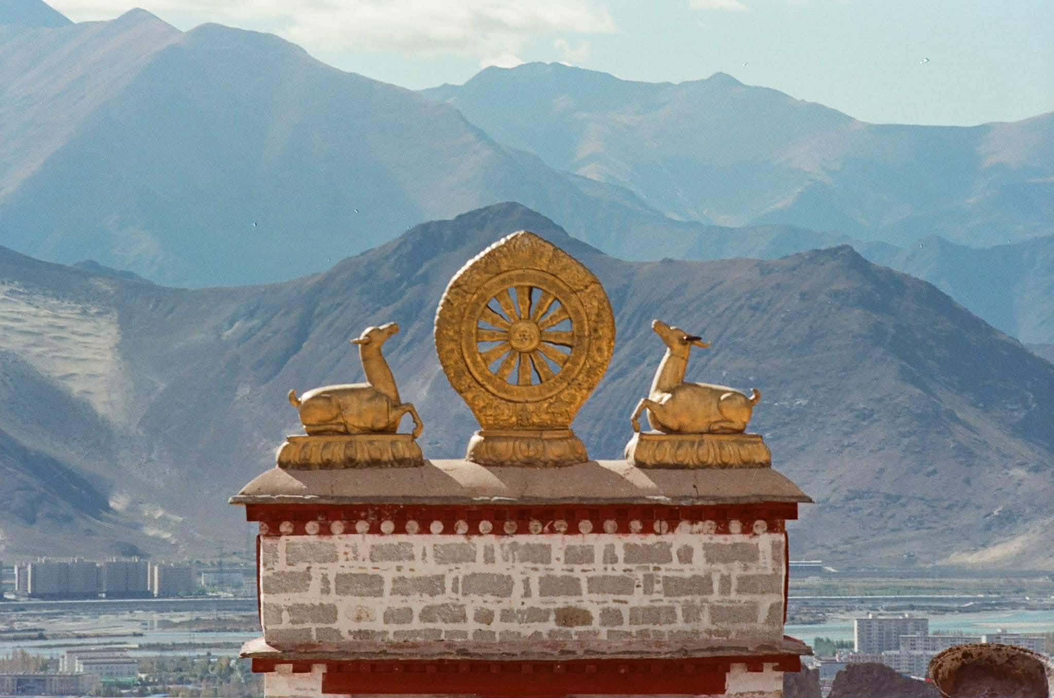 Nguyễn Mạnh Duy và sách ảnh về 12 năm ấn tượng với Himalaya - Ảnh 4.