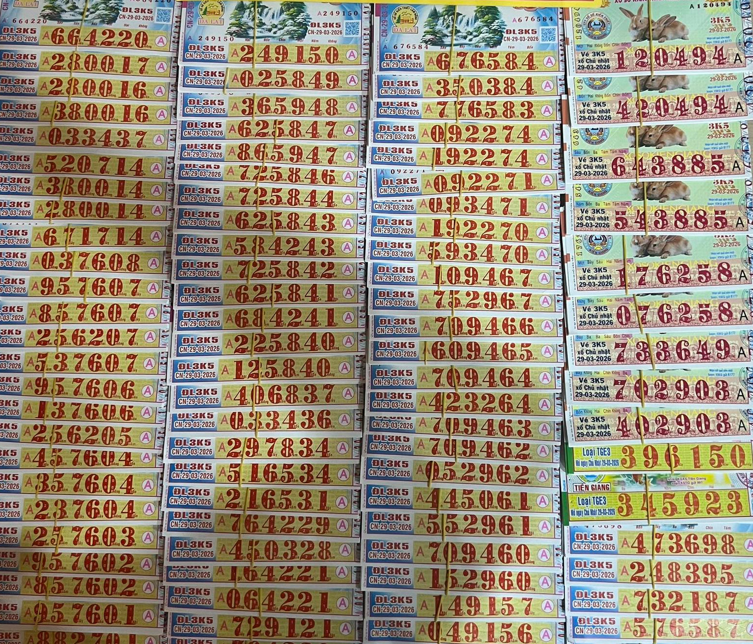 Xổ số miền Nam 2026: Nhiều người trúng giải độc đắc gần giống nhau - Ảnh 4. Xổ số miền Nam 2026: Nhiều người trúng giải độc đắc gần giống nhau - Ảnh 4.