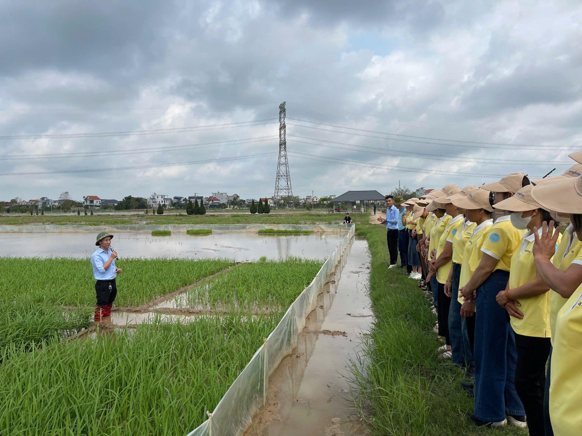 Syngenta tiếp tục hành trình “Nâng bước phụ nữ nông thôn Việt” - Ảnh 2.