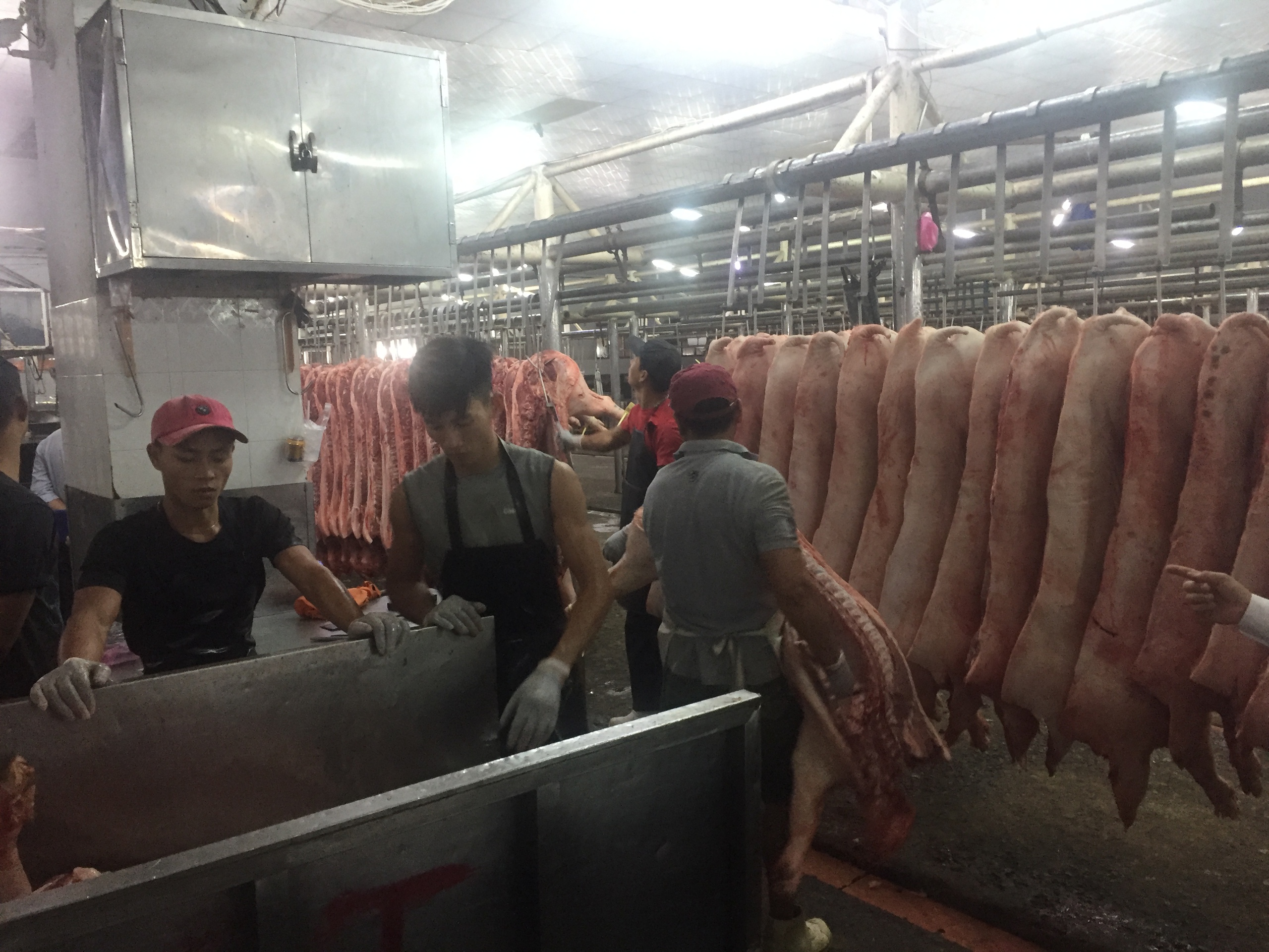 Giá heo hơi hôm nay, 30-3: Chợ đầu mối có giá mới - Ảnh 1.