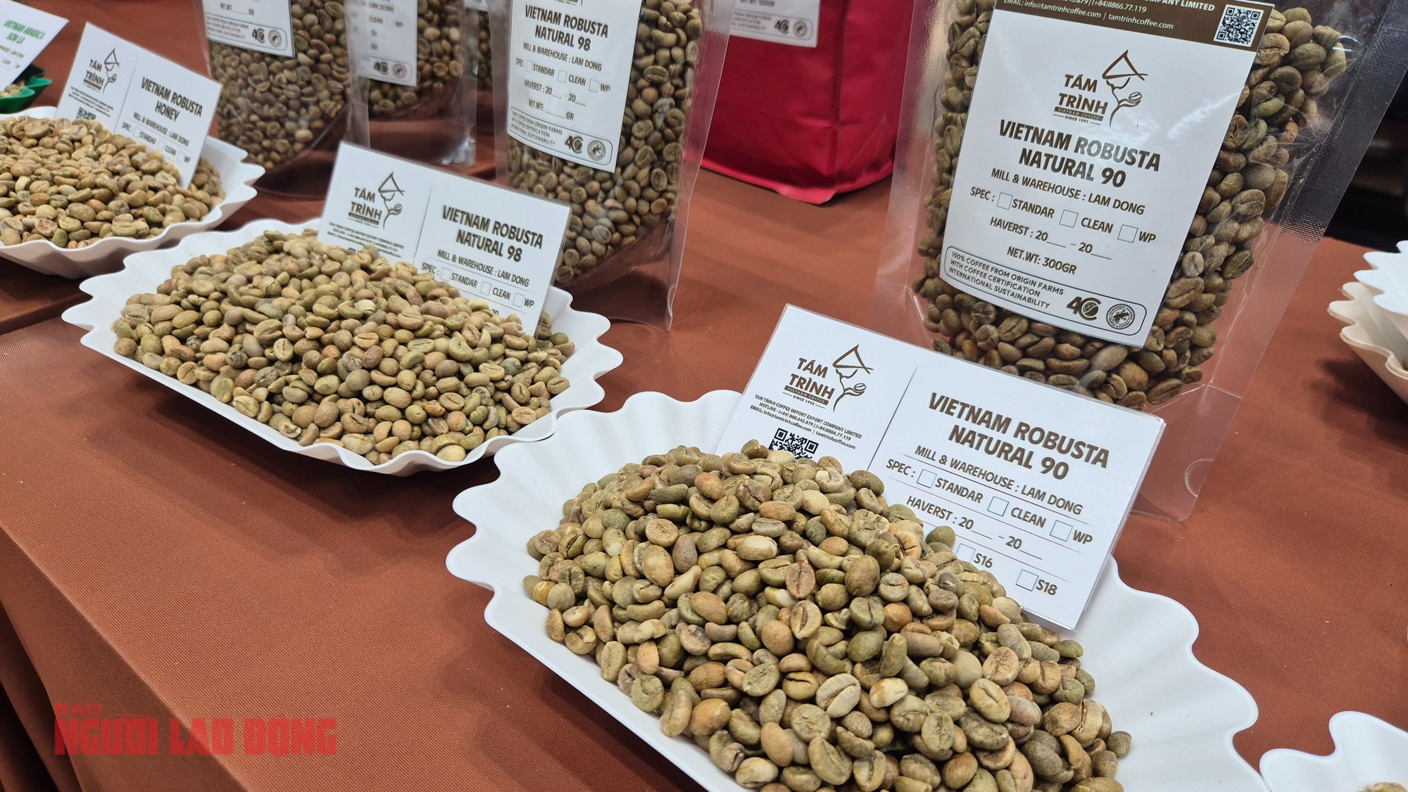 Giá cà phê hôm nay 31 - 3: Xu hướng giảm mạnh và dự báo tương lai - Ảnh 3.