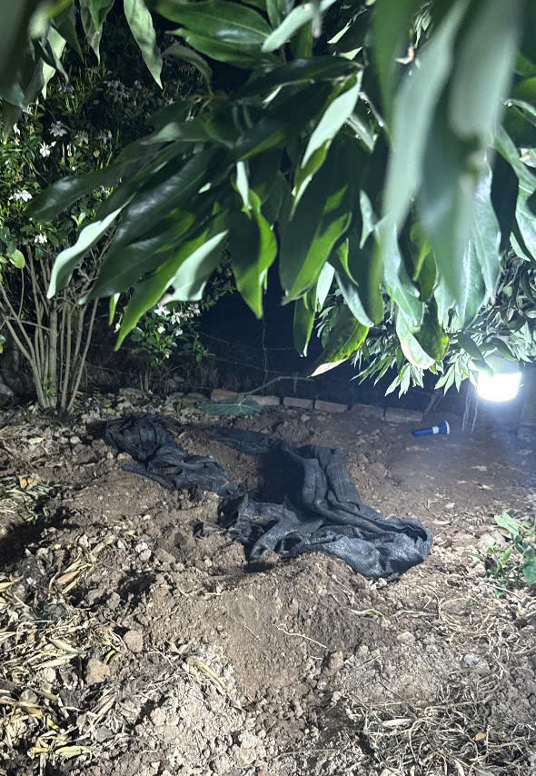 Bắt nghi phạm s&aacute;t hại b&agrave; l&atilde;o 87 tuổi , ch&ocirc;n x&aacute;c tại vườn chuối ở Hải Ph&ograve;ng - Ảnh 2.