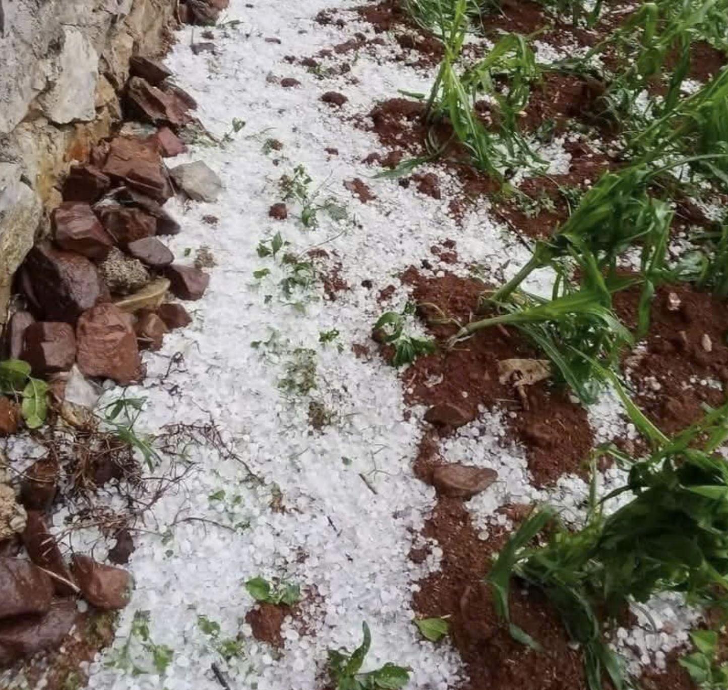 Vì sao Hà Nội và nhiều tỉnh phía Bắc liên tiếp xảy ra dông lốc kèm mưa đá? - Ảnh 2.