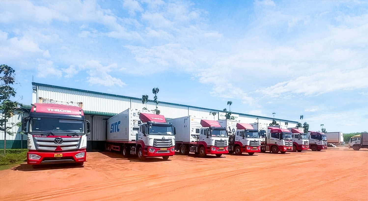 THILOGI tối ưu giải pháp chuỗi lạnh cho trái cây tươi xuất khẩu - Ảnh 3.