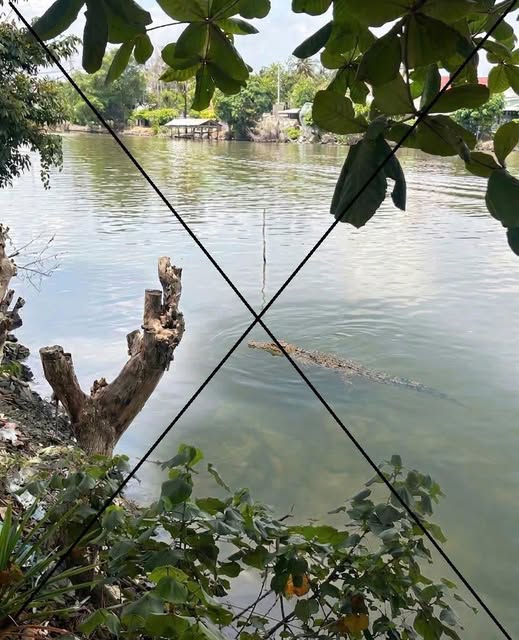 Tạo ảnh bằng AI để mẹ dọa em g&aacute;i... g&acirc;y dư luận xấu - Ảnh 1.