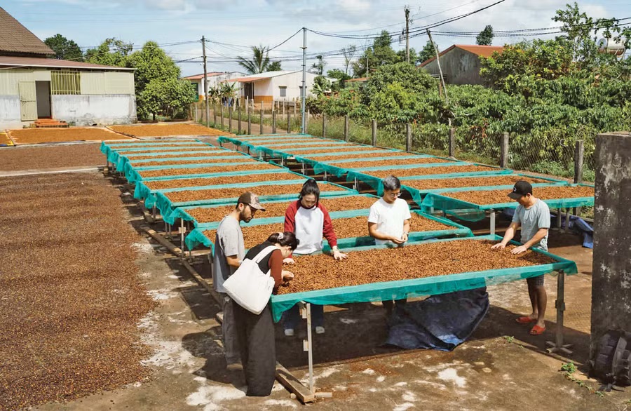 CÚ HÍCH NĂM DU LỊCH QUỐC GIA: Định hình bản sắc du lịch liên vùng - Ảnh 1.