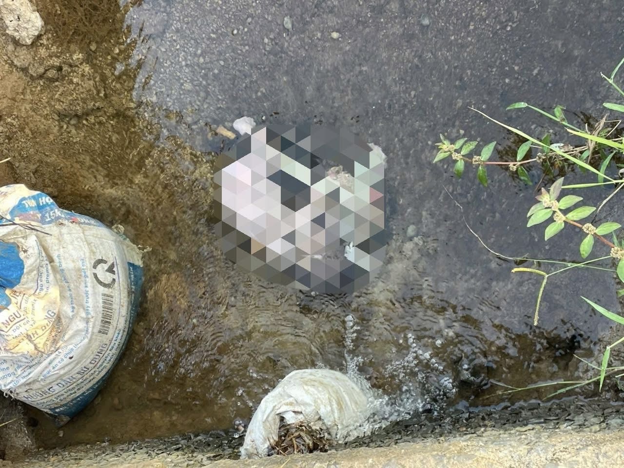 TPHCM: Phát hiện thi thể bé trai sơ sinh bên mương nước - Ảnh 1.