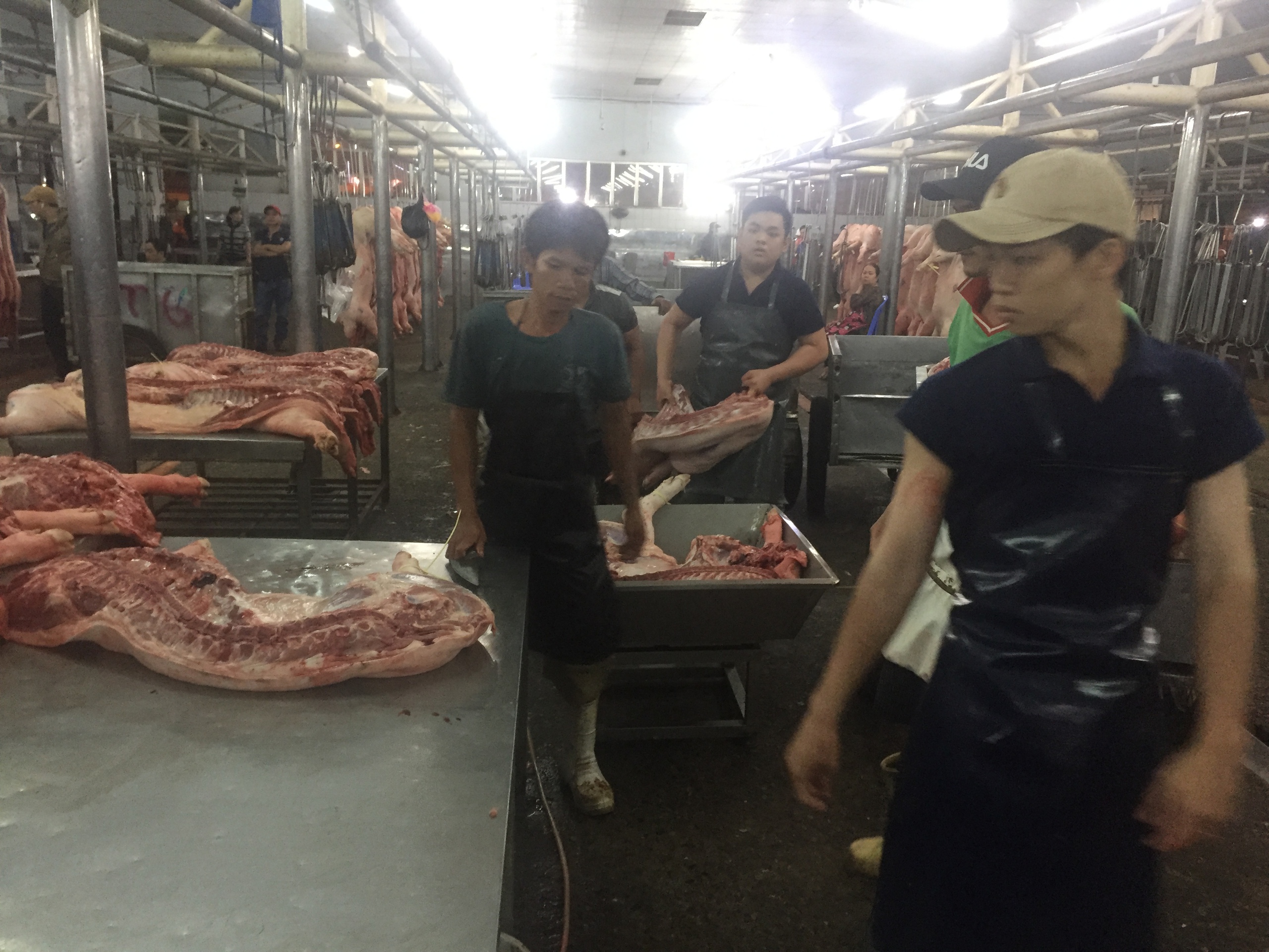 Giá heo hơi hôm nay tăng mạnh tại chợ đầu mối Hóc Môn 2026 - Ảnh 1.