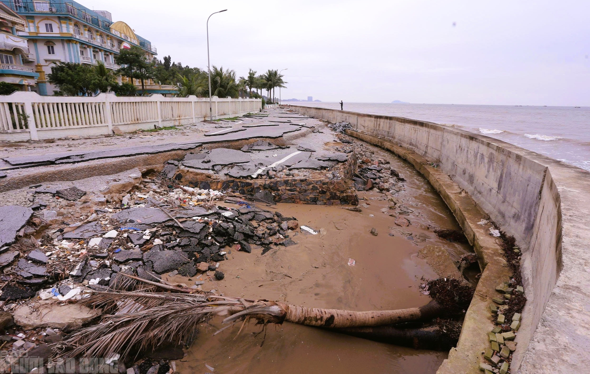 Sắp v&agrave;o h&egrave;, b&atilde;i biển nổi tiếng ở Thanh H&oacute;a vẫn tang hoang - Ảnh 2.