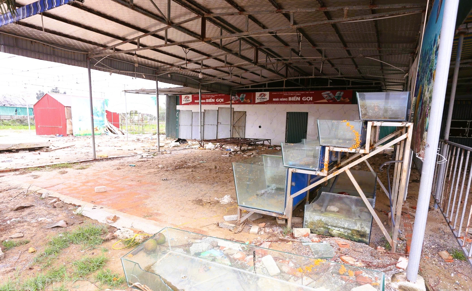 Sắp v&agrave;o h&egrave;, b&atilde;i biển nổi tiếng ở Thanh H&oacute;a vẫn tang hoang - Ảnh 11.