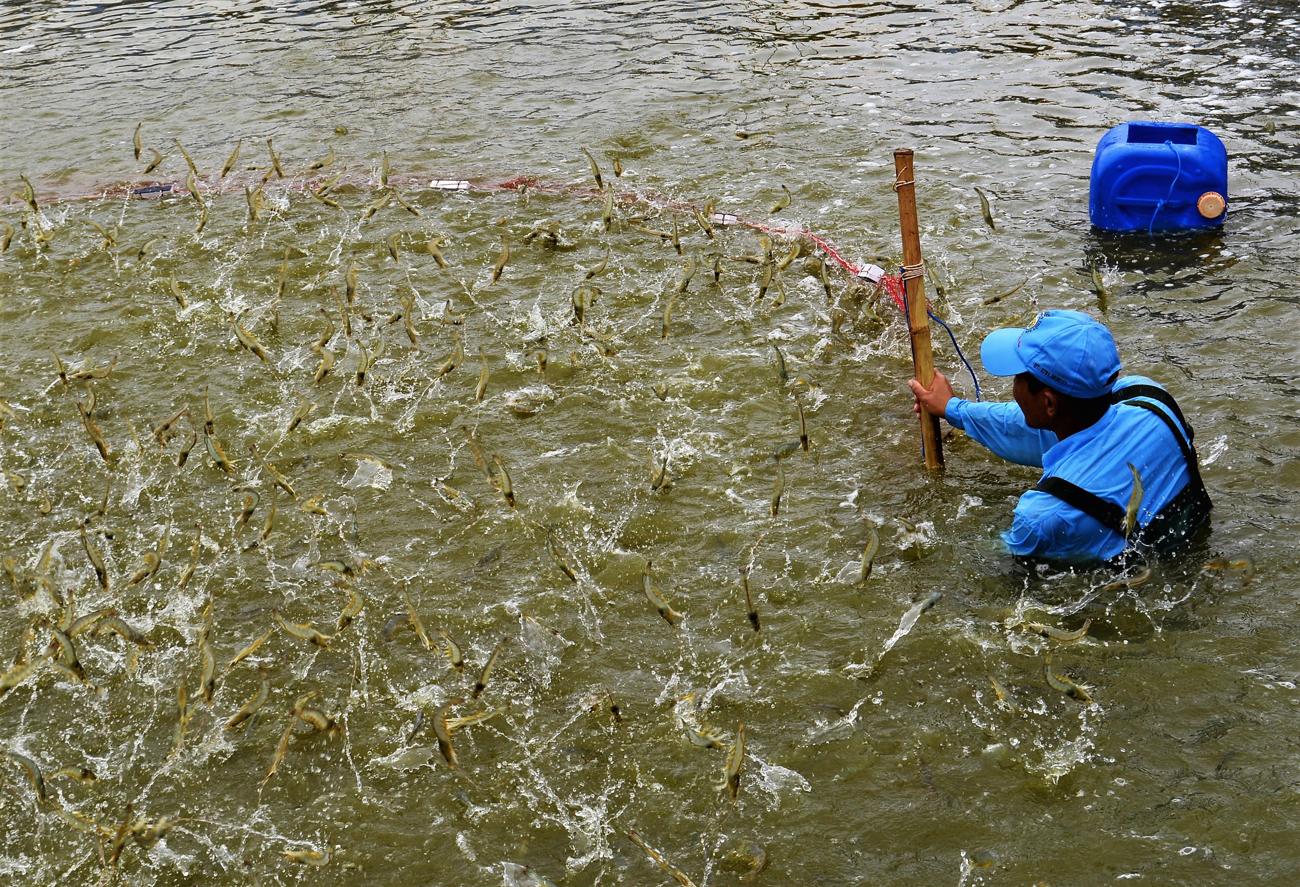Thiệt hại nặng nề vì mưa trái mùa - Ảnh 2.