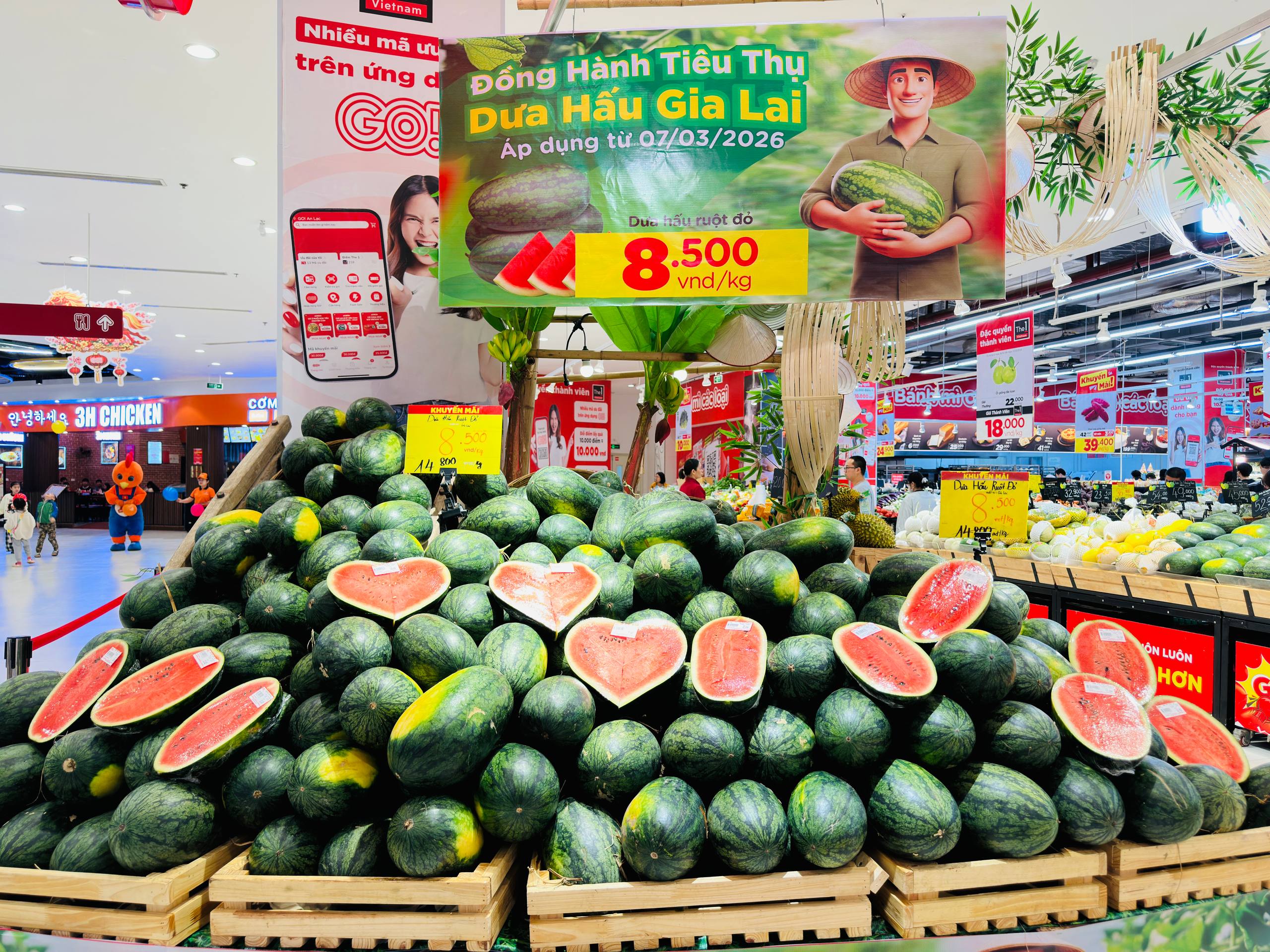 Dưa hấu Gia Lai giá rẻ tại siêu thị , hỗ trợ tiêu thụ nông sản 2026 - Ảnh 1.