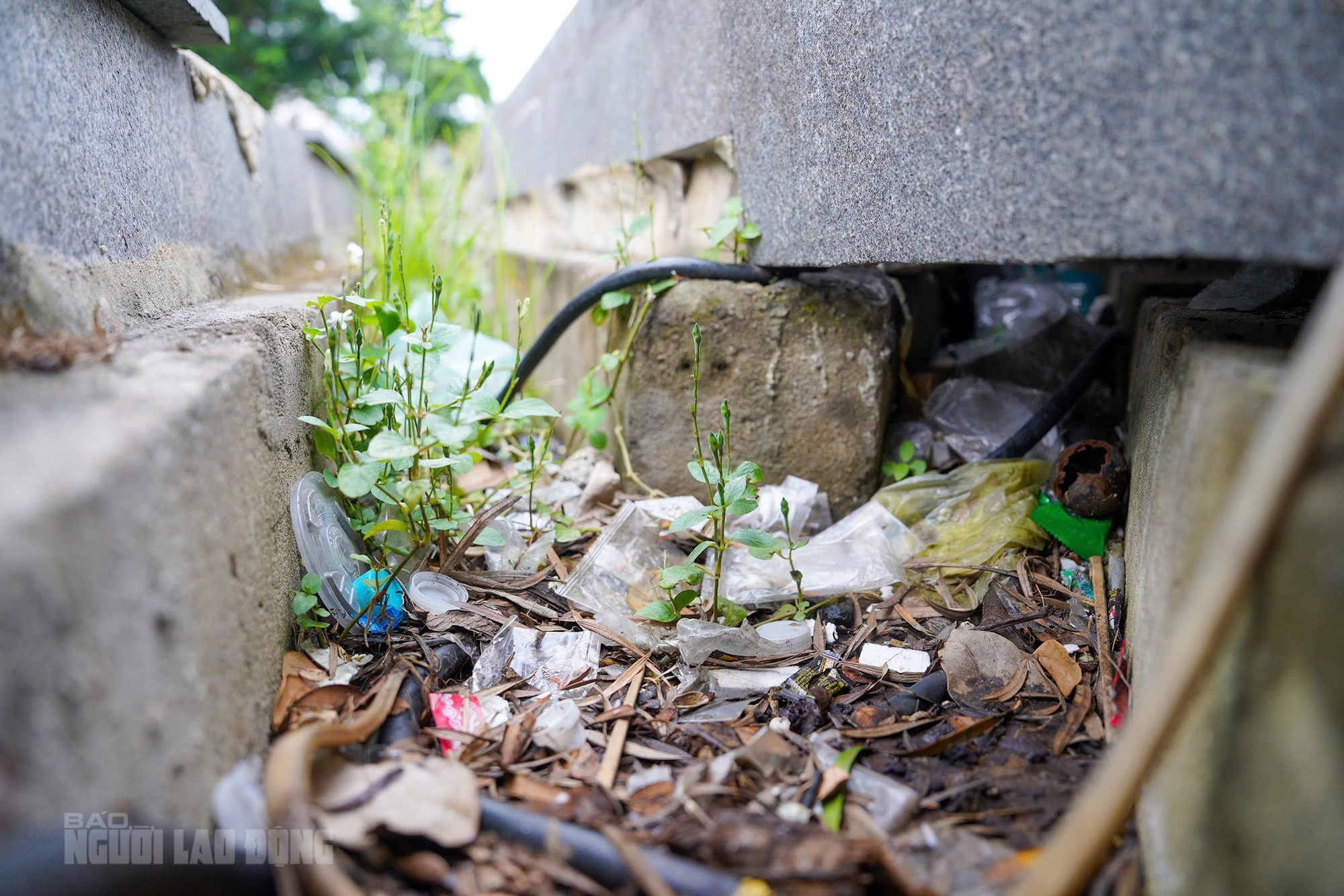 Cận cảnh bến du thuyền trăm tỉ b&ecirc;n s&ocirc;ng H&agrave;n - Ảnh 8.