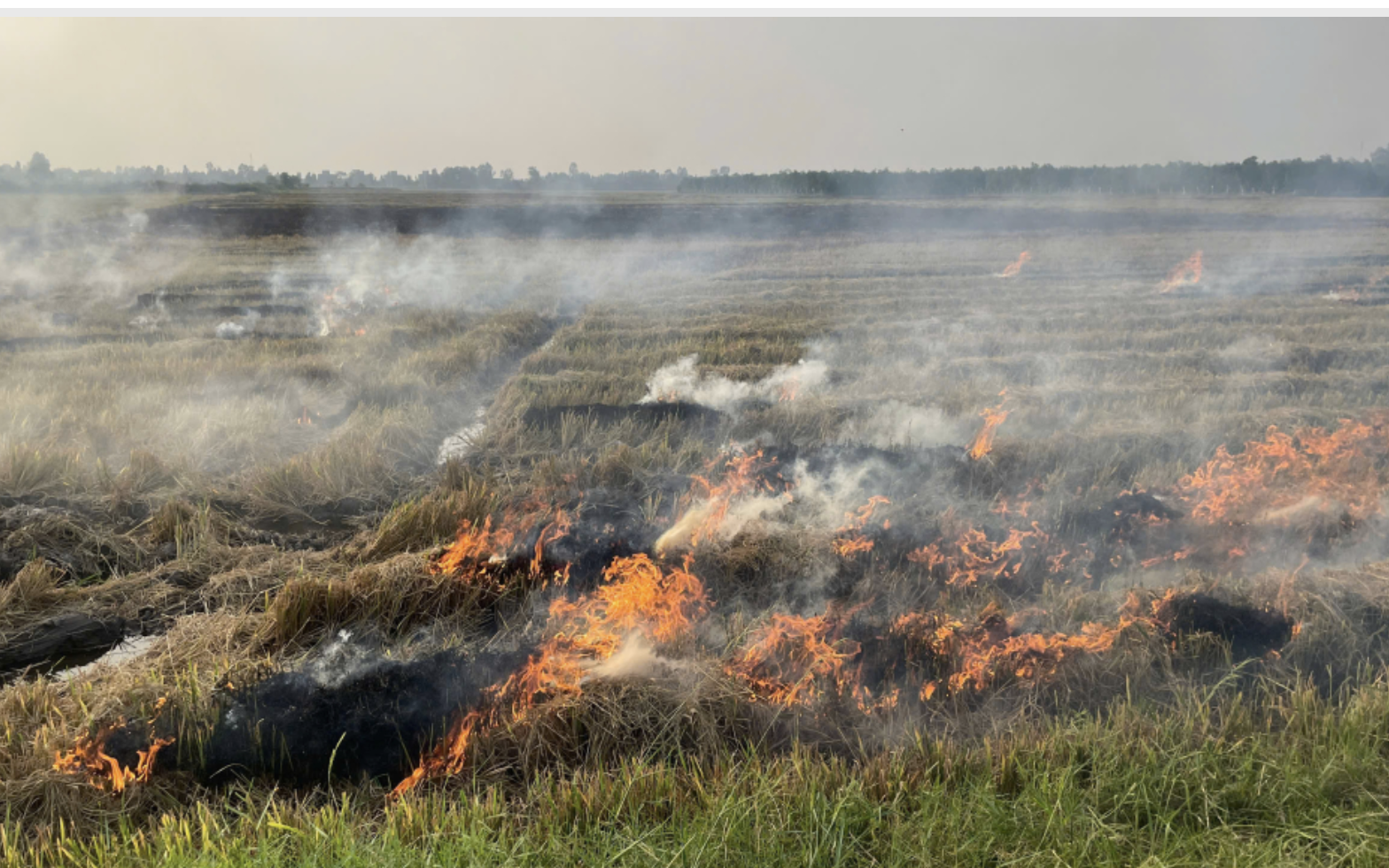 Ph&aacute;t hiện 2 thi thể trong nh&agrave; vệ sinh sau khi dập tắt đ&aacute;m ch&aacute;y - Ảnh 2.