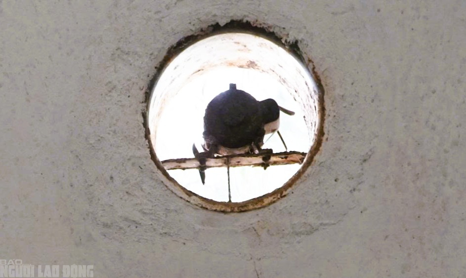 Hiện trạng 14 hubway ven biển Sầm Sơn do FLC trả lại cho Thanh H&oacute;a trước ng&agrave;y đấu gi&aacute; - Ảnh 4.