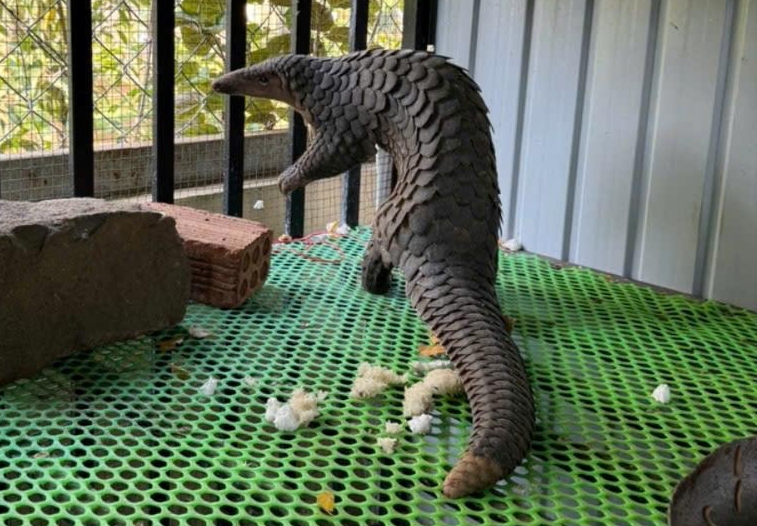 - Ảnh 3. - Ảnh 3.