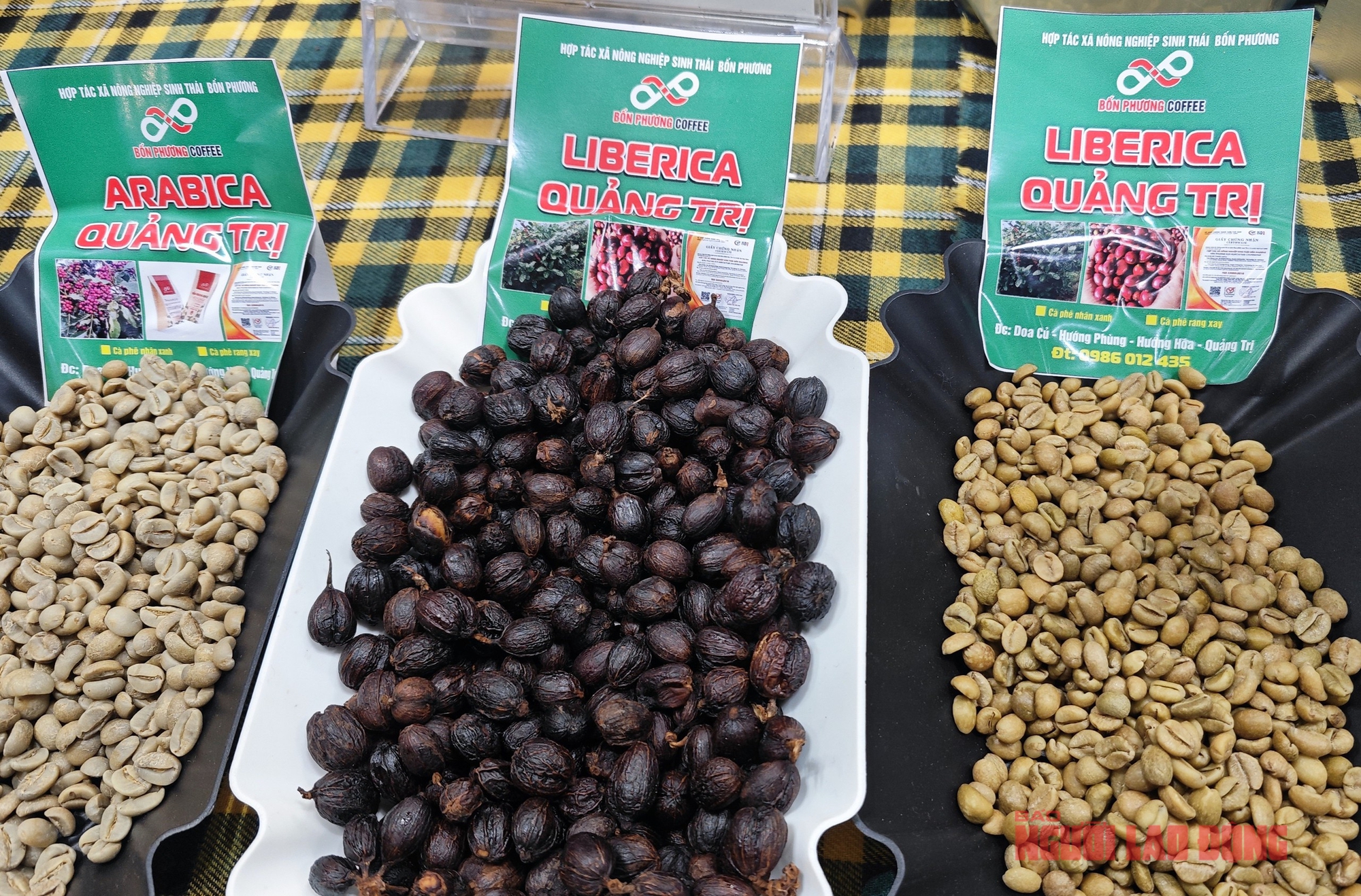 Gi&aacute; c&agrave; ph&ecirc; h&ocirc;m nay 12 - 4: Robusta giảm s&acirc;u , tương lai ng&agrave;nh c&agrave; ph&ecirc; 2026 - Ảnh 3.