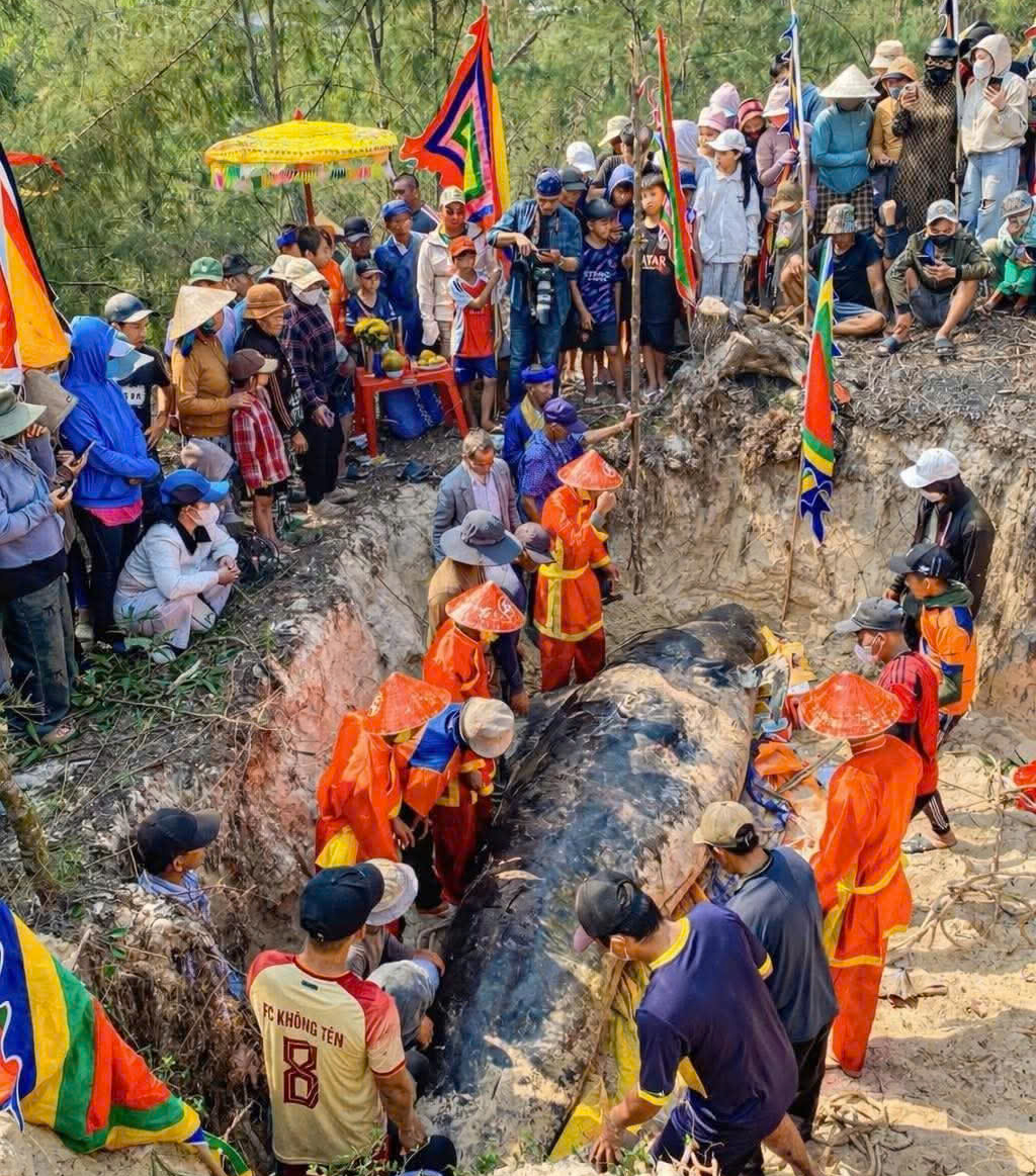 Cá heo dạt vào bờ biển Sông Cầu: Người dân chờ lễ chôn cất theo phong tục - Ảnh 2.