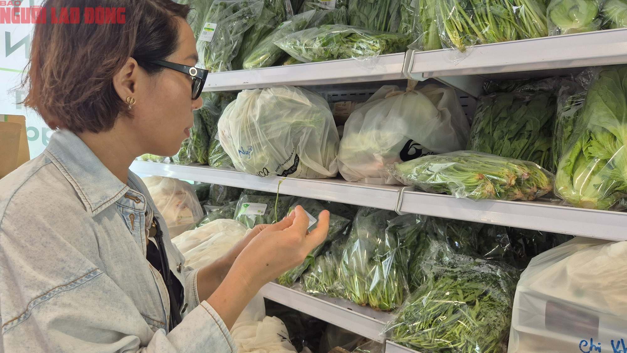 Rau sâm biển: Lọai rau trồng trên cát giá 350 . 000 Đồng / kg vẫn được xem là rẻ - Ảnh 5. Rau sâm biển: Lọai rau trồng trên cát giá 350 . 000 Đồng / kg vẫn được xem là rẻ - Ảnh 5.