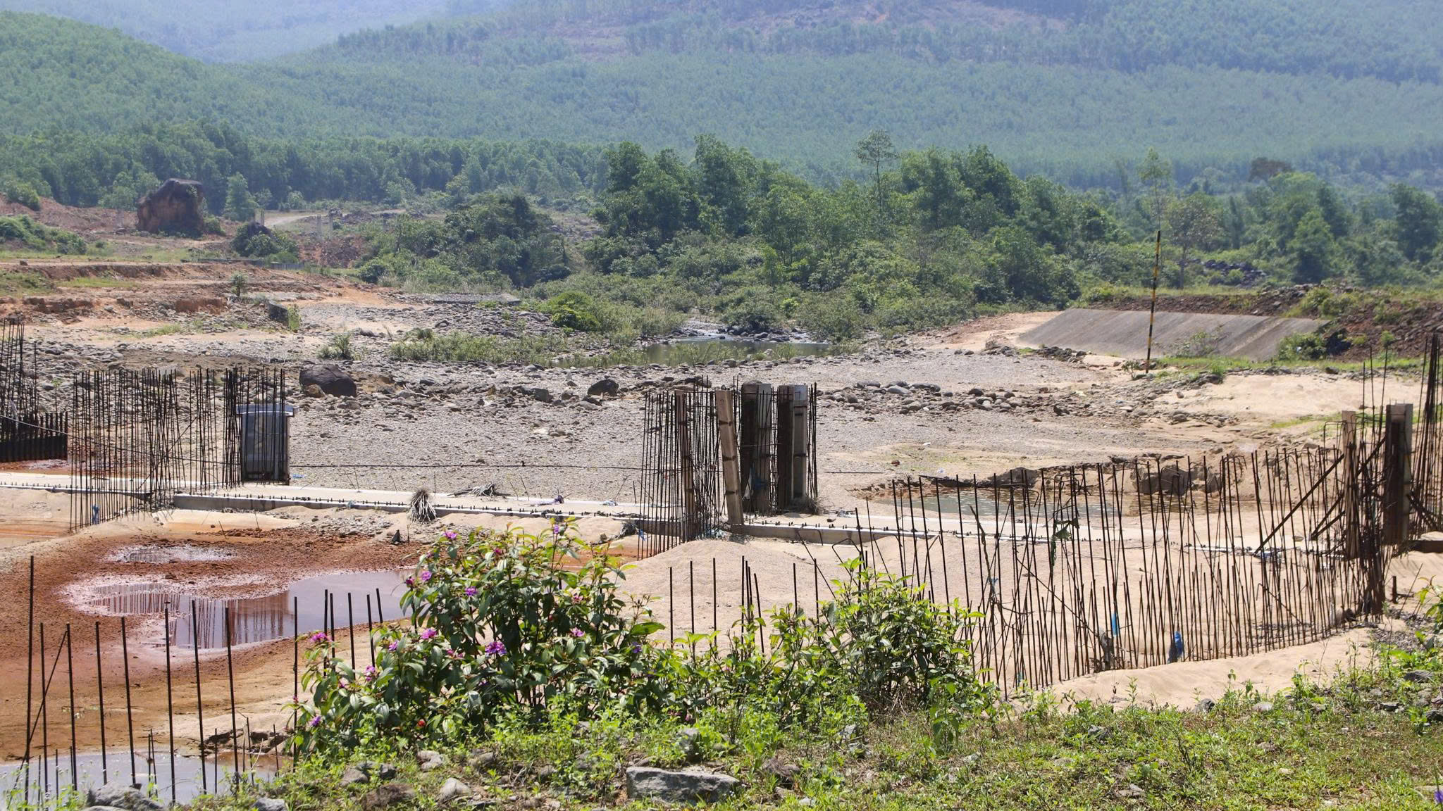 - Ảnh 2. - Ảnh 2.