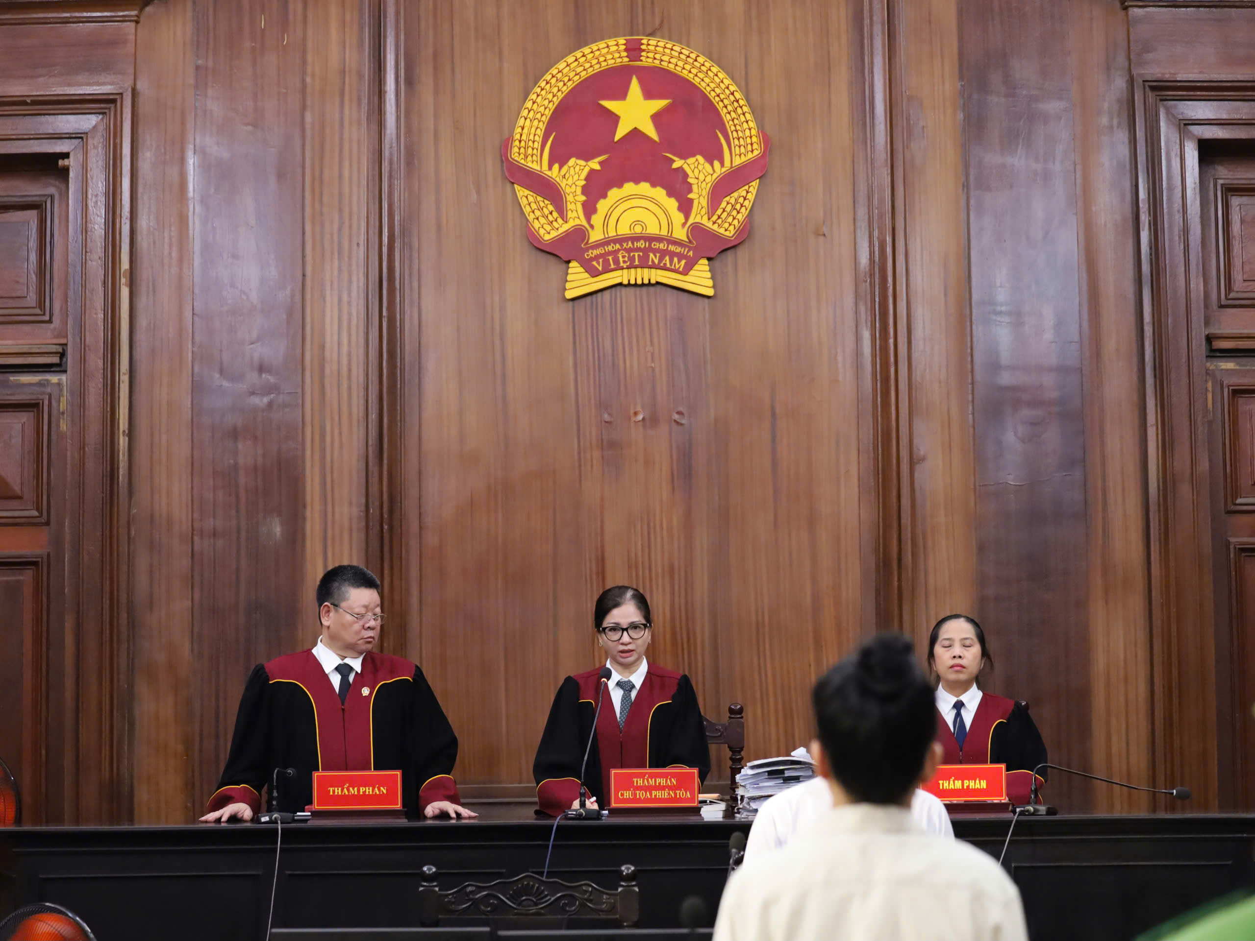 Youtuber Đinh Lan b&aacute;c thẩm quyền của TAND TPHCM, đ&ograve;i T&ograve;a &aacute;n Tối cao x&eacute;t xử ph&uacute;c thẩm - Ảnh 4.