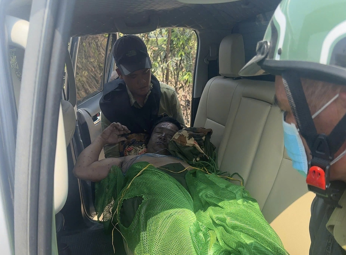 Gia Lai: Bị ong đốt khi tuần tra rừng, một người tử vong, nhiều người bị thương - Ảnh 1.