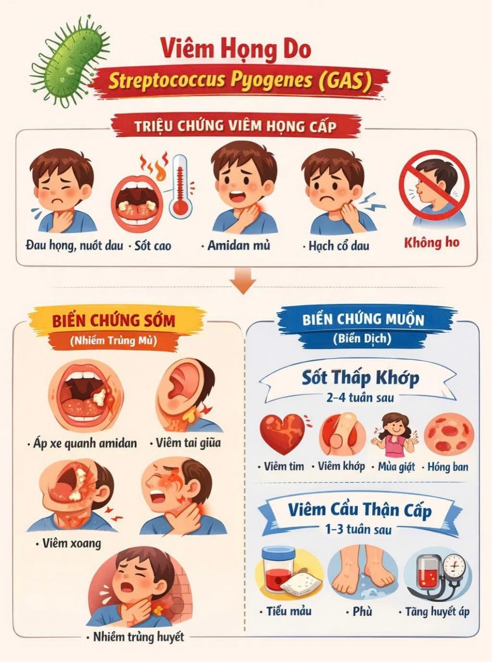 Bệnh nhi nguy kịch bị biến chứng nguy hiểm từ viêm họng do liên cầu  - Ảnh 1.