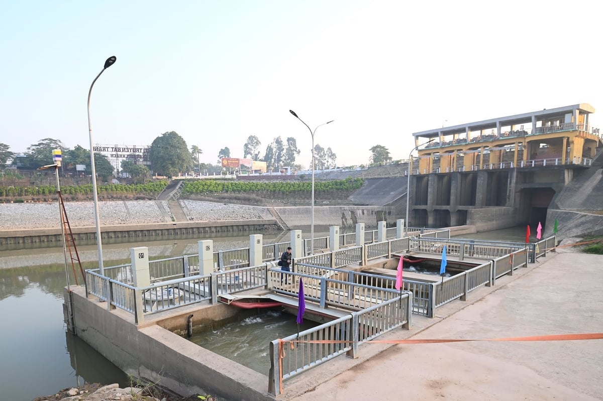 Hồi sinh hệ thống đại thủy nông - Ảnh 3.