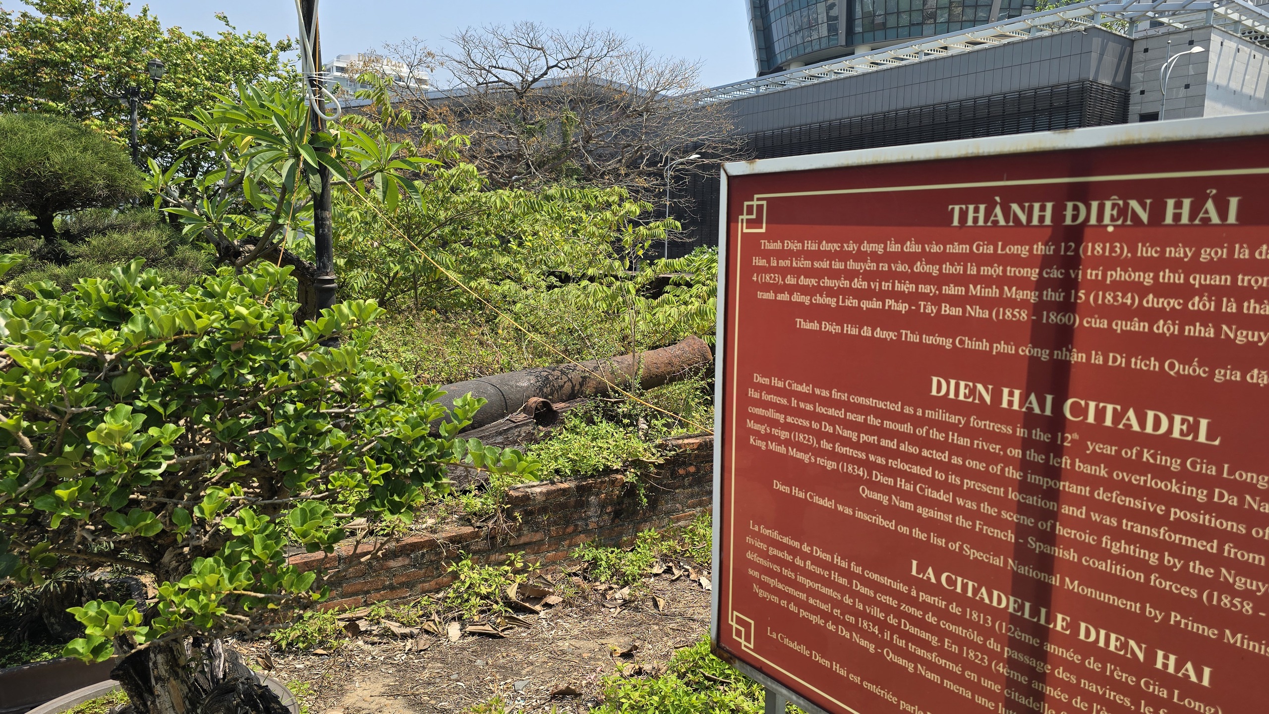 Cảnh hạ giải bảo t&agrave;ng tr&ecirc;n th&agrave;nh cổ 200 tuổi ở Đ&agrave; Nẵng - Ảnh 8.