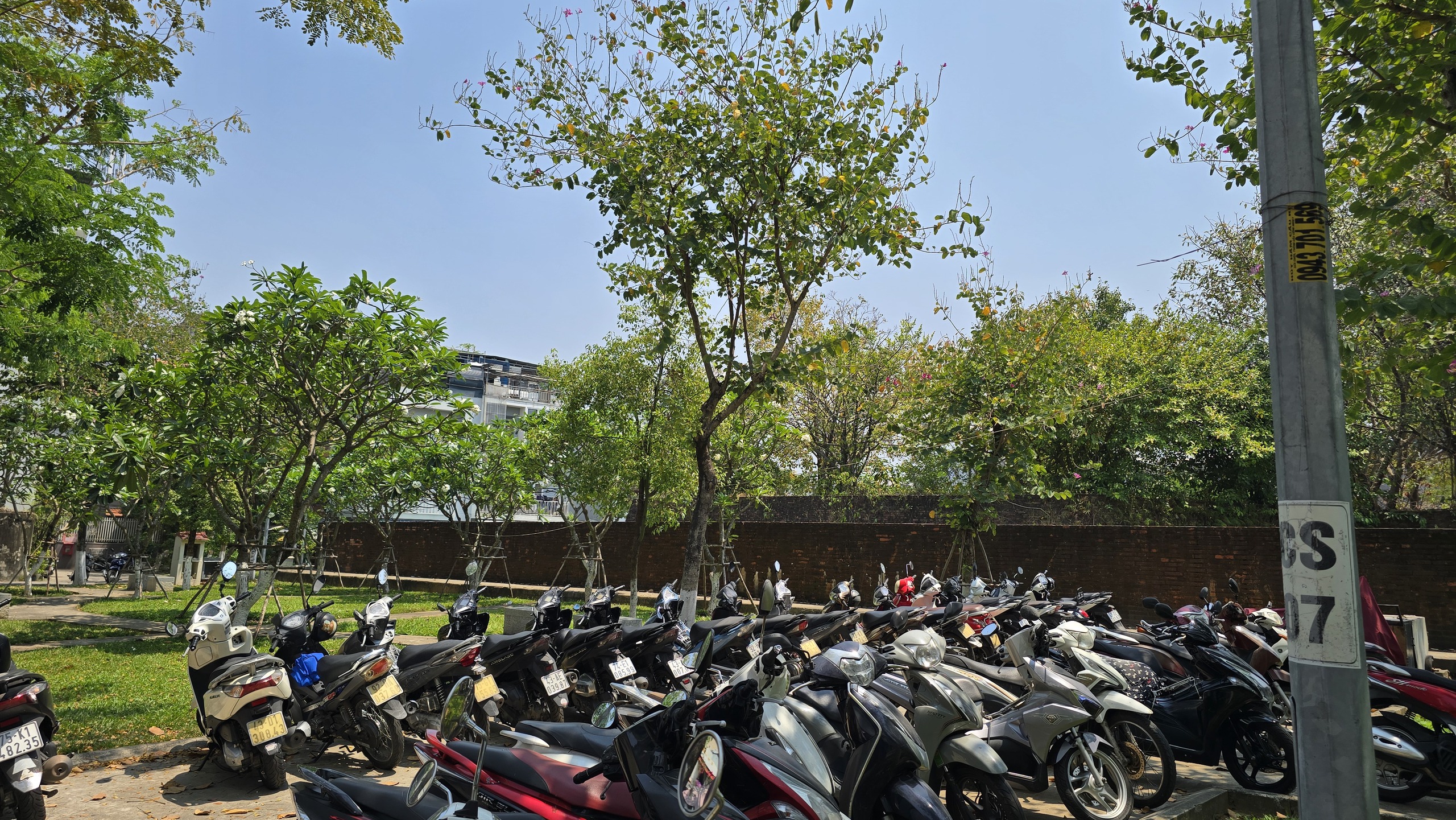 Cảnh hạ giải bảo t&agrave;ng tr&ecirc;n th&agrave;nh cổ 200 tuổi ở Đ&agrave; Nẵng - Ảnh 12.