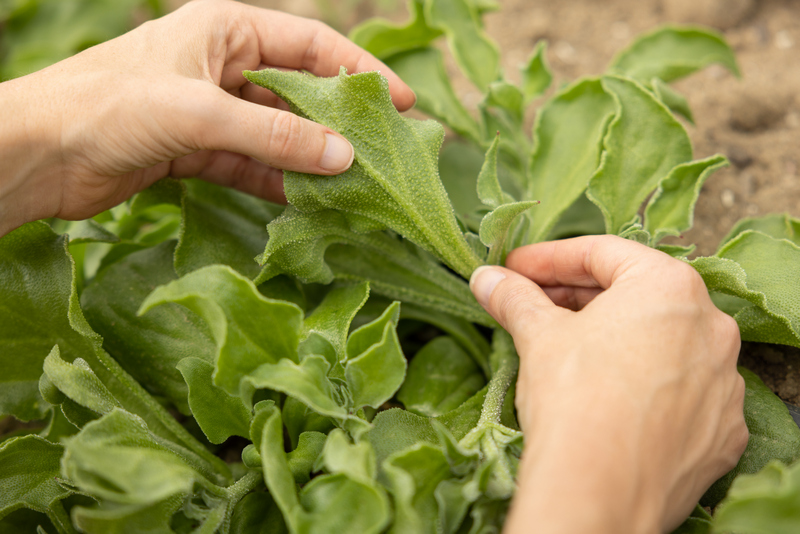 Ứng dụng bản sao kỹ thuật số Dassault Syst&egrave;mes cải tiến quy tr&igrave;nh sản xuất mỹ phẩm từ thi&ecirc;n nhi&ecirc;n - Ảnh 3.