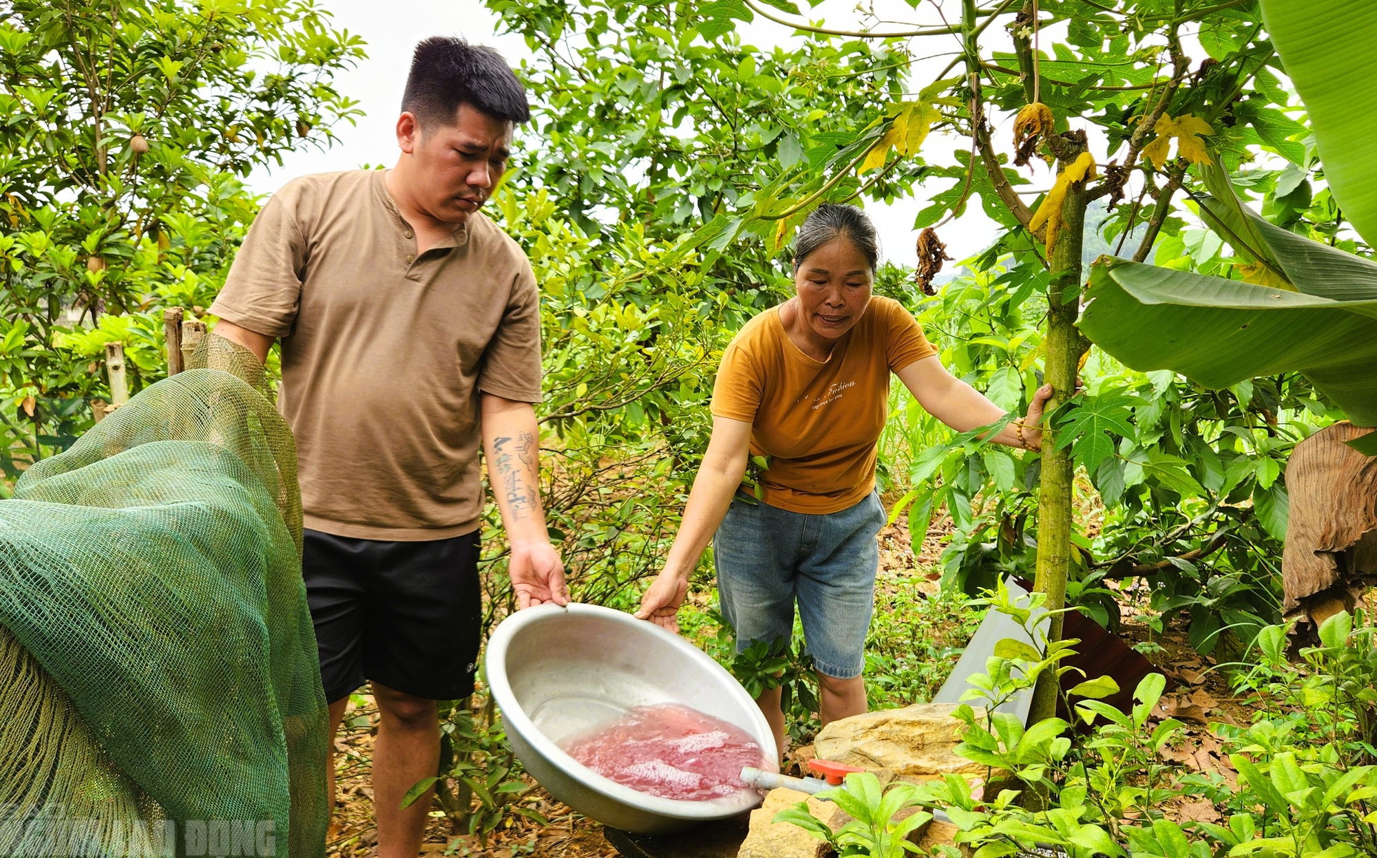 Nước giếng khoan nh&agrave; d&acirc;n đổi m&agrave;u t&iacute;m, bốc m&ugrave;i h&ocirc;i thối bất thường - Ảnh 2.