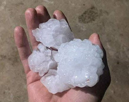 - Ảnh 1. - Ảnh 1.