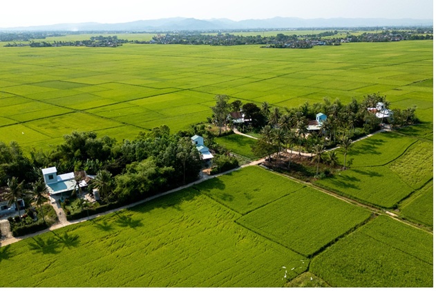 ADB hỗ trợ x&acirc;y nh&agrave; an to&agrave;n cho người d&acirc;n v&ugrave;ng lũ Đắk Lắk - Ảnh 2.