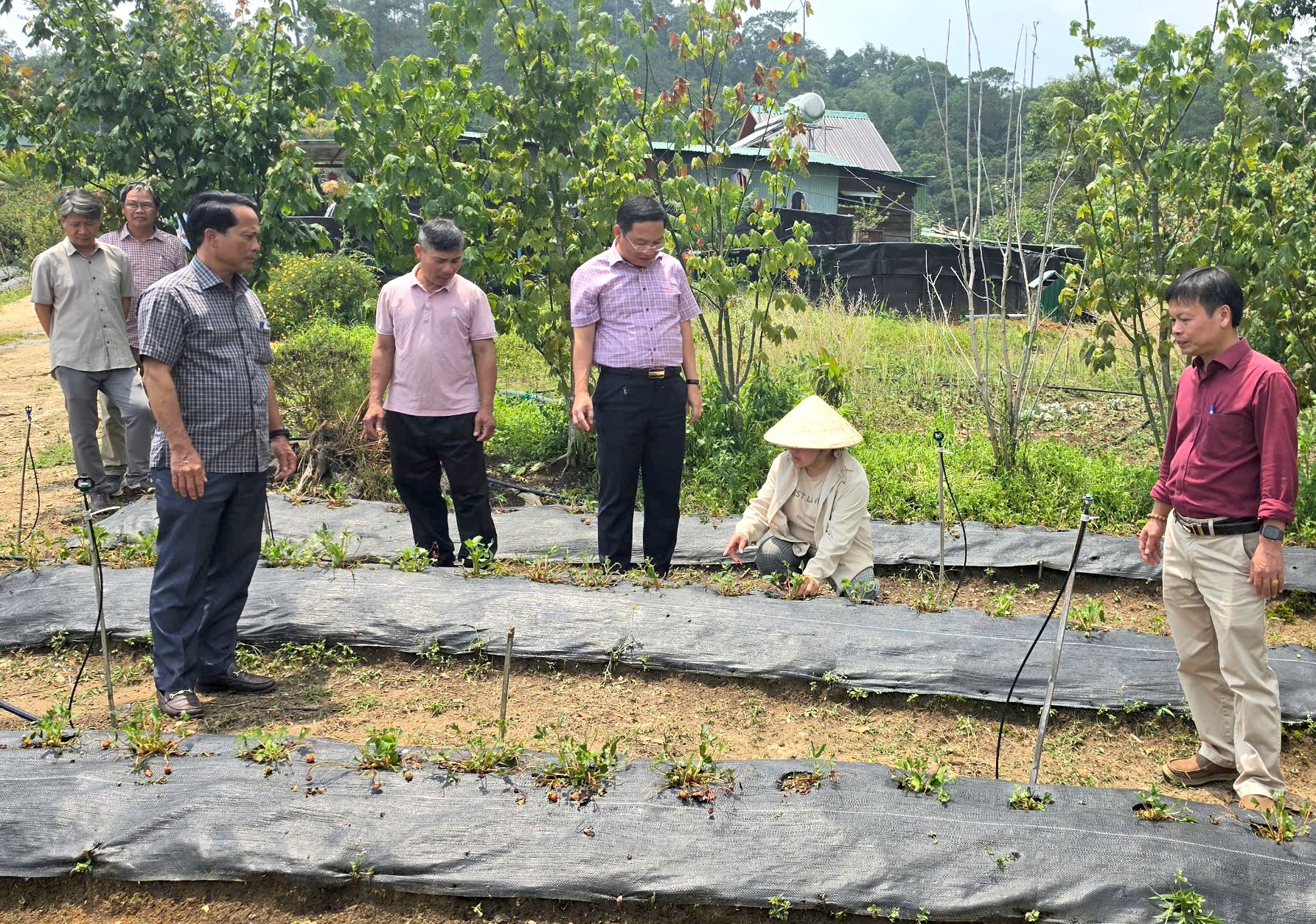 Phó chủ tịch tỉnh Quảng Ngãi kiểm tra thiệt hại do mưa đá tại Tu Mơ Rông - Ảnh 3.