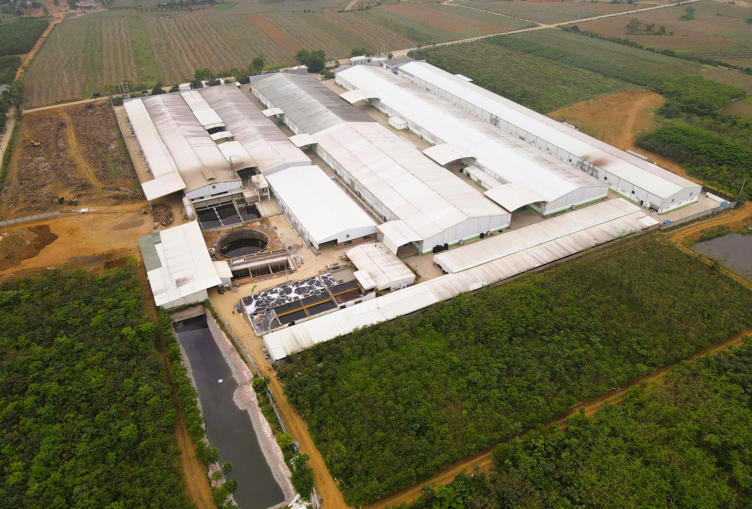 Vụ nước giếng khoan đổi màu tím bất thường: Do bảo vệ ngủ quên - Ảnh 2.