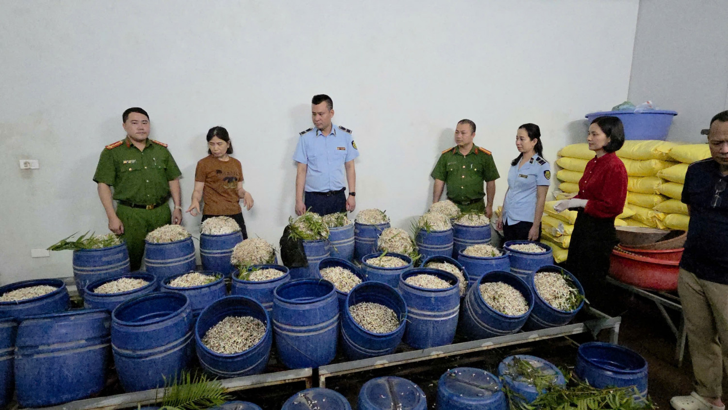 Bắt tạm giam 2 chủ cơ sở sản xuất giá đỗ bằng chất cấm tại Quảng Ninh - Ảnh 1.