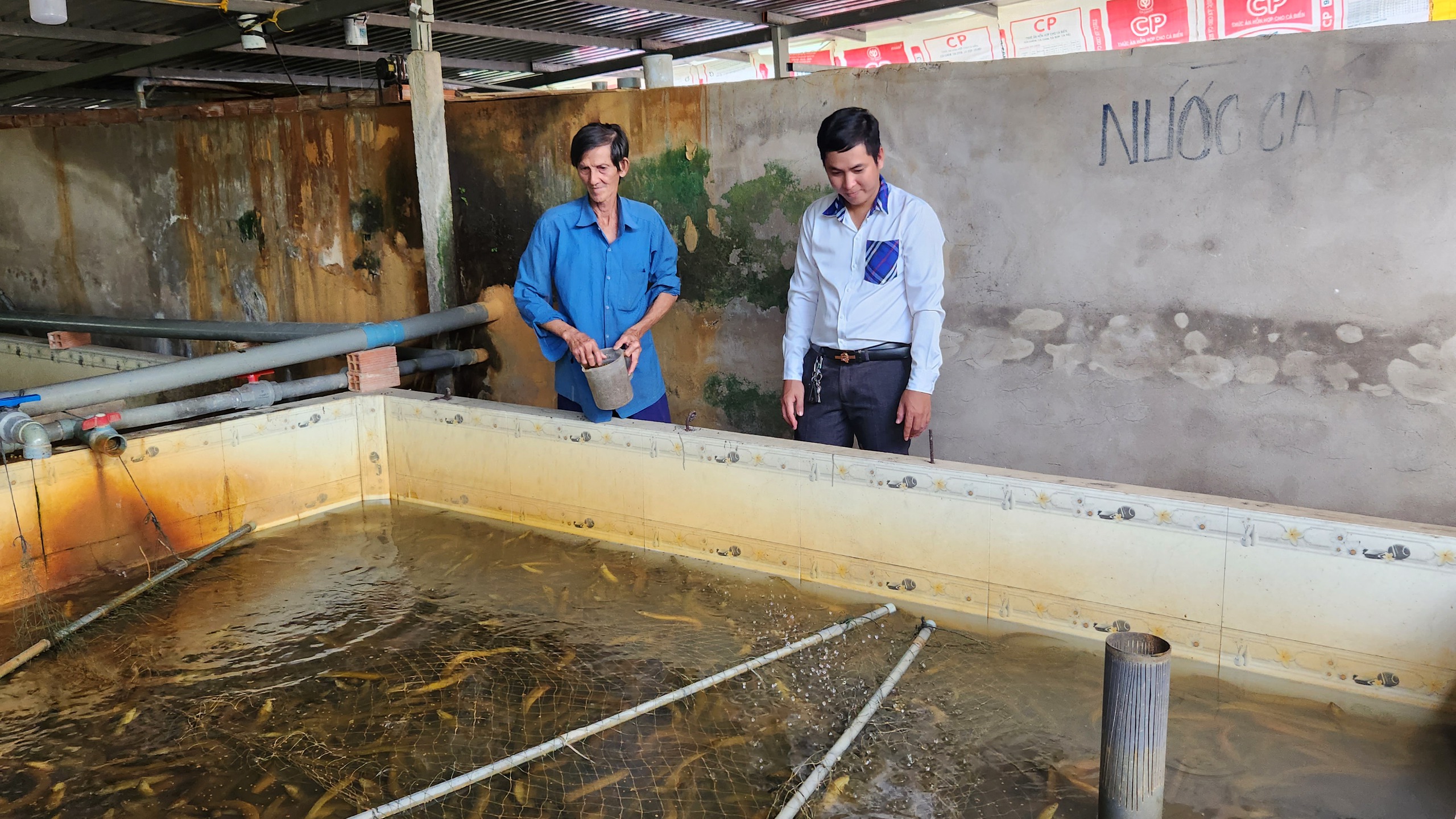 Chủ tịch Hội Nông dân TP Cần Thơ cảnh báo tình trạng lươn quá lứa không tiêu thụ được - Ảnh 1.