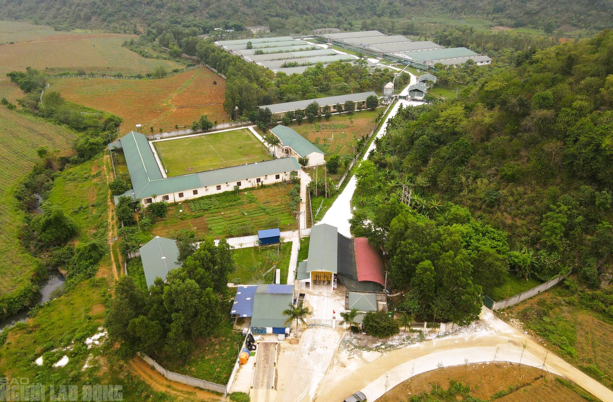 Xử phạt trại heo gần nơi giếng khoan nhà dân đổi màu tím, bốc mùi hôi thối bất thường - Ảnh 1.